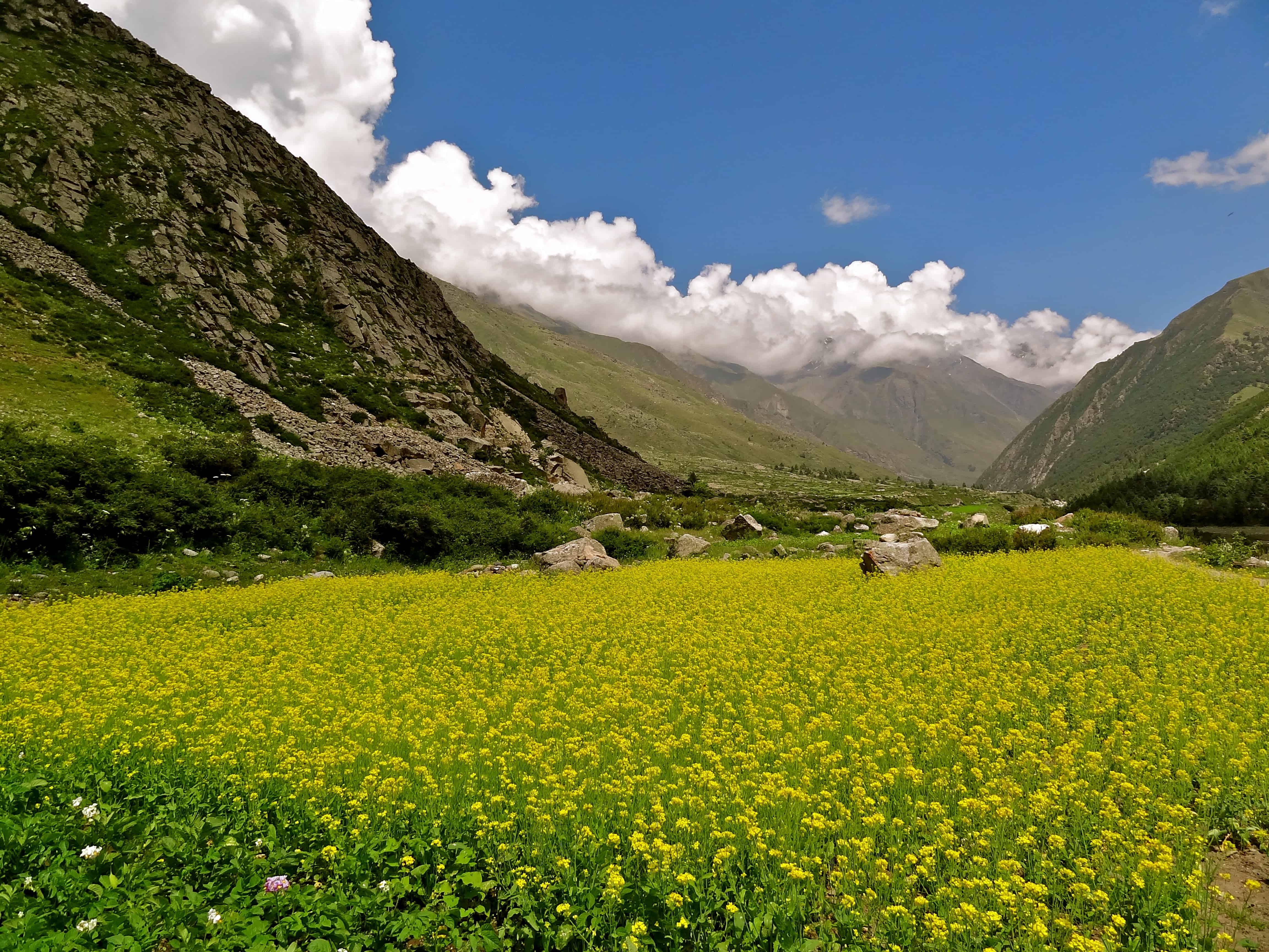 Kinnaur